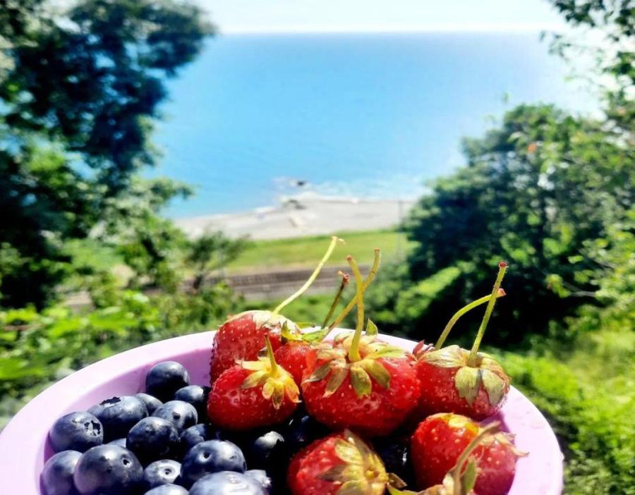Скидка 10% до 31 мая на ВСЁ ЛЕТО🌞